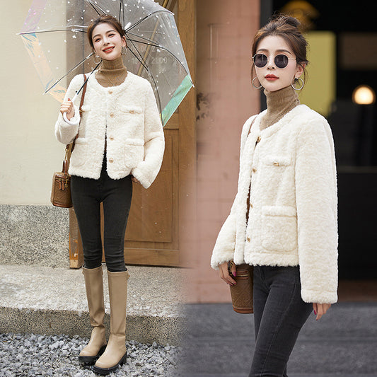 Small Lamb Wool Coat Women's Short Thickened Fur Integrated Top Fashion