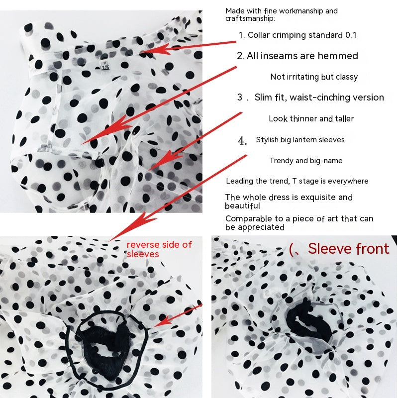 Weibliches Organza-Hemd mit großen Laternenärmeln und gepunkteten Perspektiven